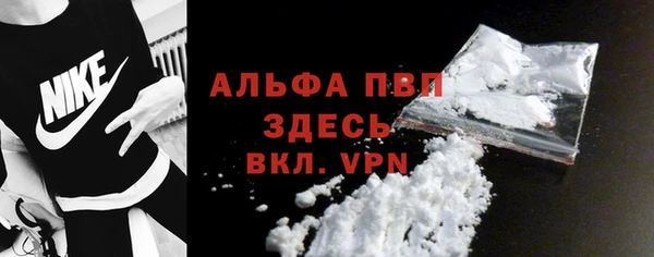 спайс Няндома