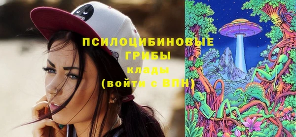 спайс Няндома