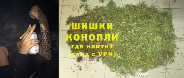 спайс Няндома