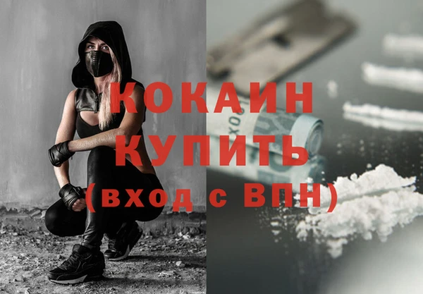 спайс Няндома