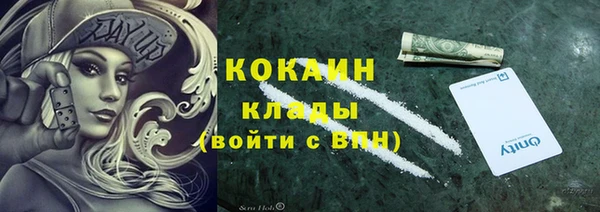 спайс Няндома