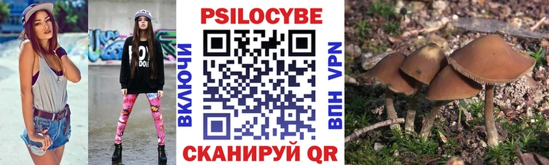 хочу наркоту  Салават  Псилоцибиновые грибы Psilocybe 