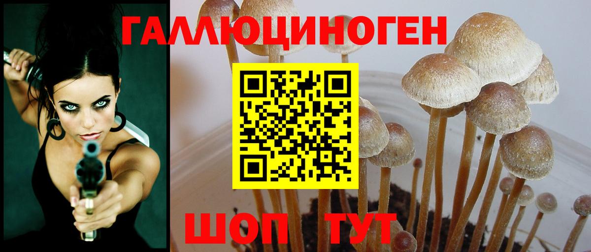 Галлюциногенные грибы Magic Shrooms  Вход с VPN  Салават 