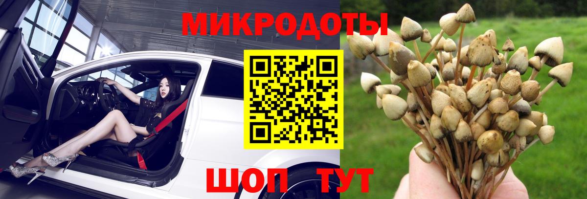 Псилоцибиновые грибы MAGIC MUSHROOMS Салават